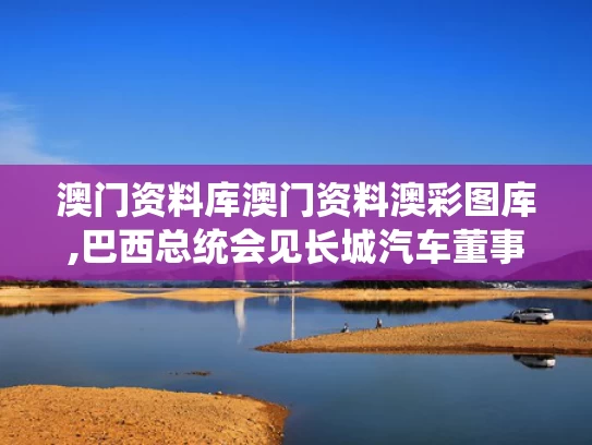 澳门资料库澳门资料澳彩图库,巴西总统会见长城汽车董事长魏建军