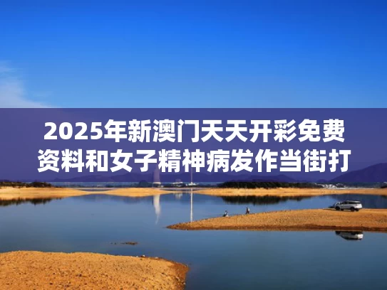 2025年新澳门天天开彩免费资料和女子精神病发作当街打砸汽车与精神病女子事件