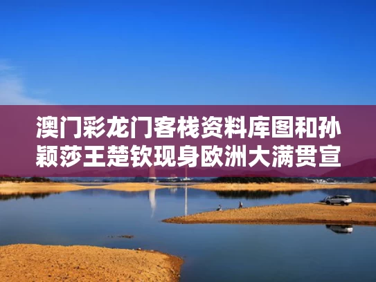 澳门彩龙门客栈资料库图	和孙颖莎王楚钦现身欧洲大满贯宣传片与孙颖莎王楚钦混合排名