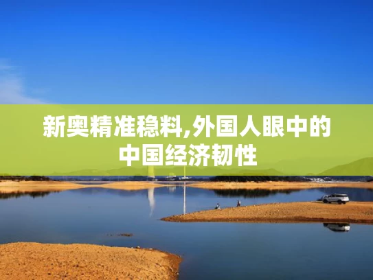 新奥精准稳料,外国人眼中的中国经济韧性