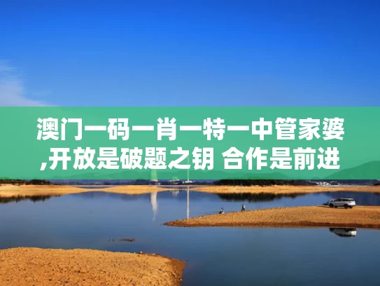 澳门一码一肖一特一中管家婆,开放是破题之钥 合作是前进之道