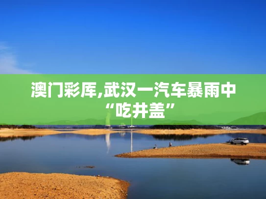 澳门彩厍,武汉一汽车暴雨中“吃井盖”
