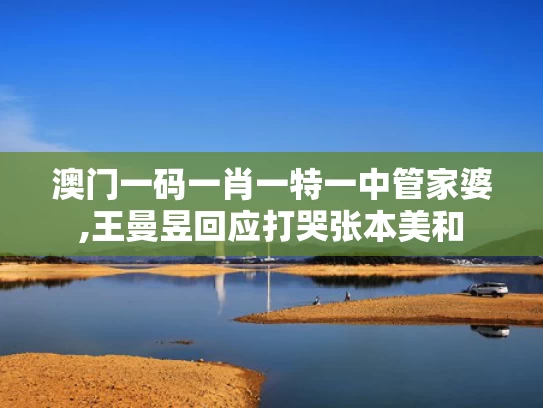 澳门一码一肖一特一中管家婆,王曼昱回应打哭张本美和