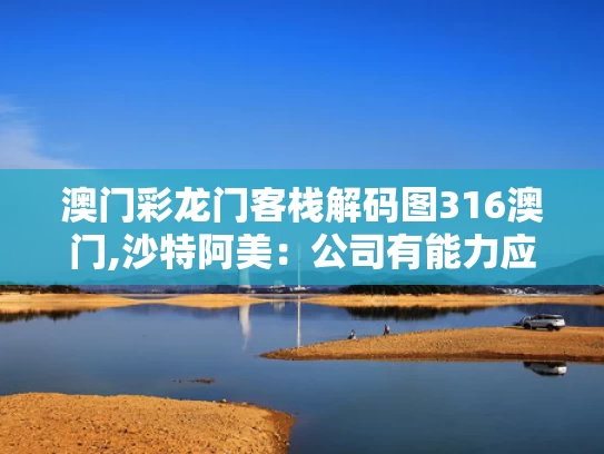 澳门彩龙门客栈解码图316澳门,沙特阿美：公司有能力应对低油价