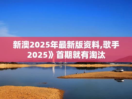 新澳2025年最新版资料,歌手2025》首期就有淘汰