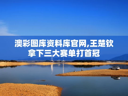 澳彩图库资料库官网,王楚钦拿下三大赛单打首冠