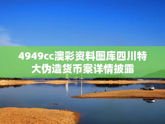 4949cc澳彩资料图库	四川特大伪造货币案详情披露