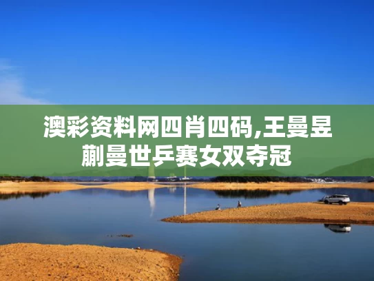 澳彩资料网四肖四码,王曼昱蒯曼世乒赛女双夺冠