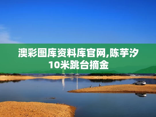澳彩图库资料库官网,陈芋汐10米跳台摘金