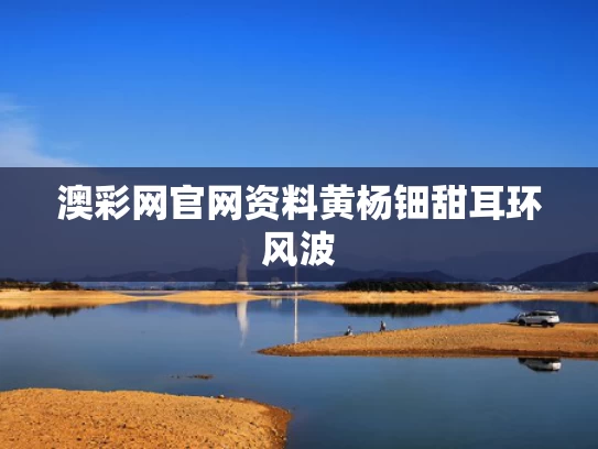 澳彩网官网资料	黄杨钿甜耳环风波
