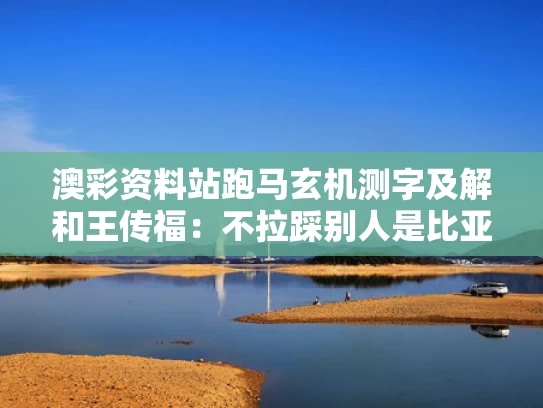 澳彩资料站跑马玄机测字及解和王传福：不拉踩别人是比亚迪的原则与