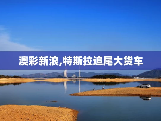 澳彩新浪,特斯拉追尾大货车