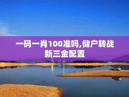 一码一肖100准吗,储户转战新三金配置