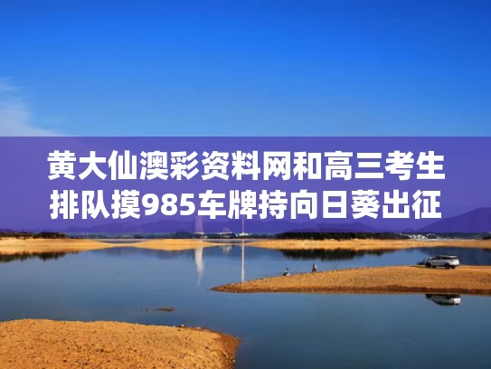 黄大仙澳彩资料网和高三考生排队摸985车牌持向日葵出征与