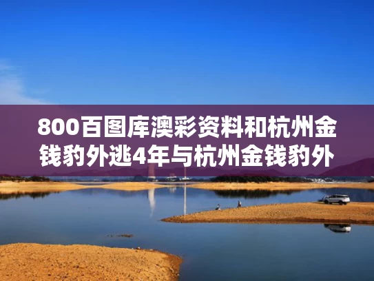 800百图库澳彩资料	和杭州金钱豹外逃4年与杭州金钱豹外逃视频