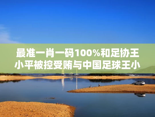 最准一肖一码100%和足协王小平被控受贿与中国足球王小平