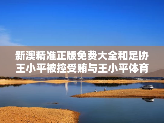 新澳精准正版免费大全和足协王小平被控受贿与王小平体育
