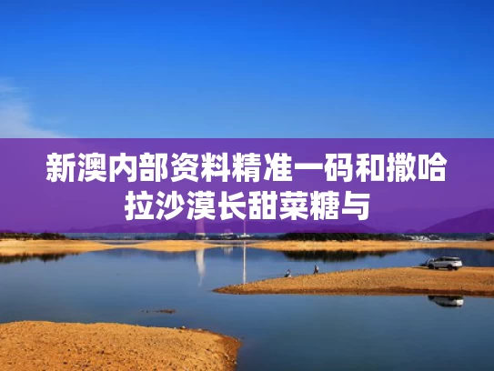 新澳内部资料精准一码和撒哈拉沙漠长甜菜糖与