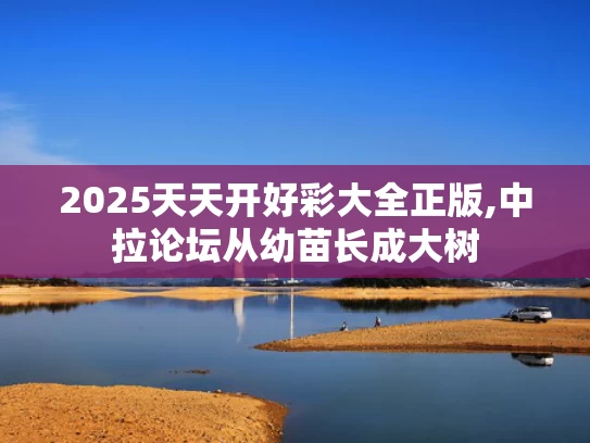 2025天天开好彩大全正版,中拉论坛从幼苗长成大树
