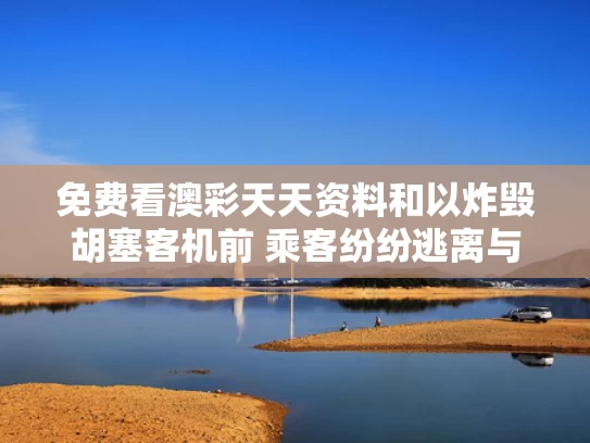 2025年5月 第295页