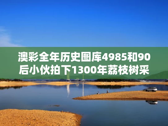 2025年5月 第293页