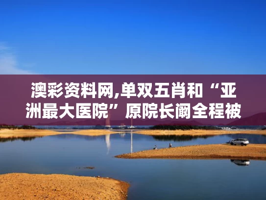 澳彩资料网,单双五肖和“亚洲最大医院”原院长阚全程被查与阚璇总医院