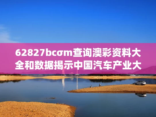 62827bcσm查询澳彩资料大全和数据揭示中国汽车产业大盘稳健向好与2021中国汽车产业发展(泰达)国际论坛