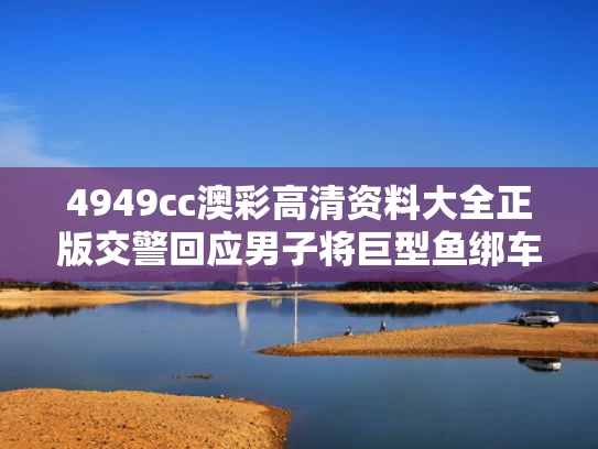 4949cc澳彩高清资料大全正版	交警回应男子将巨型鱼绑车尾游街