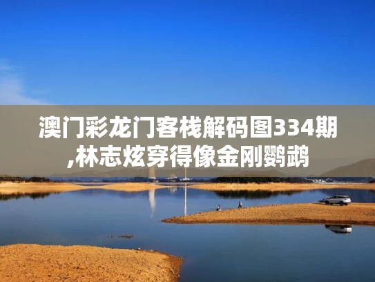 澳门彩龙门客栈解码图334期,林志炫穿得像金刚鹦鹉
