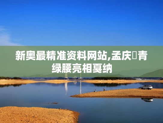 2025年5月17日 第4页