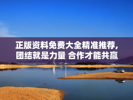 正版资料免费大全精准推荐,团结就是力量 合作才能共赢