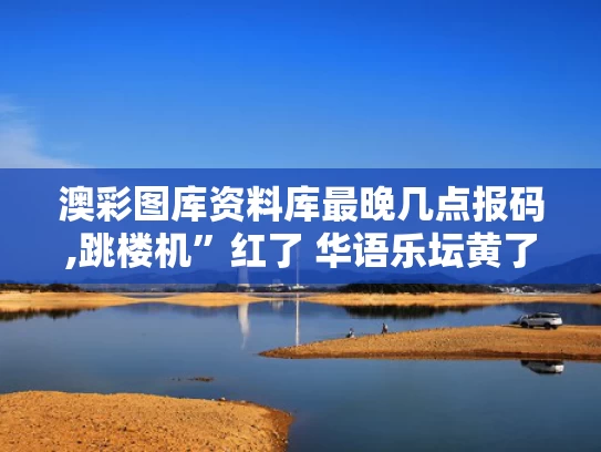 澳彩图库资料库最晚几点报码,跳楼机”红了 华语乐坛黄了