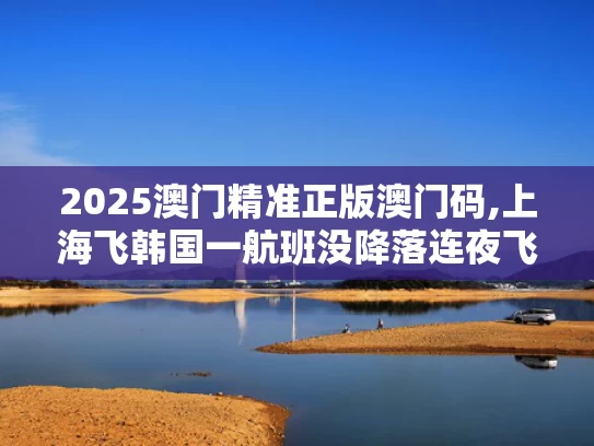 2025澳门精准正版澳门码,上海飞韩国一航班没降落连夜飞回国