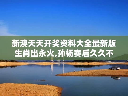 新澳天天开奖资料大全最新版生肖出永火,孙杨赛后久久不愿离去