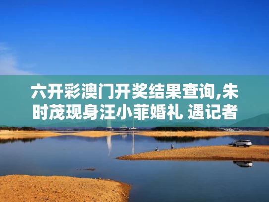 六开彩澳门开奖结果查询,朱时茂现身汪小菲婚礼 遇记者速逃离