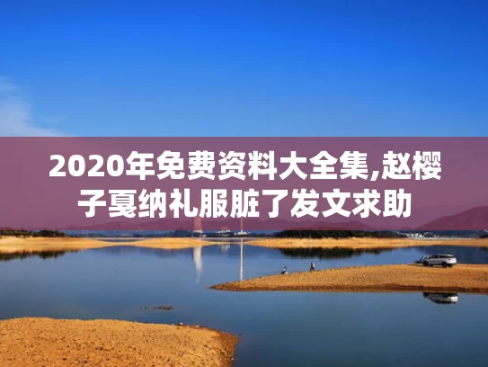 2020年免费资料大全集,赵樱子戛纳礼服脏了发文求助