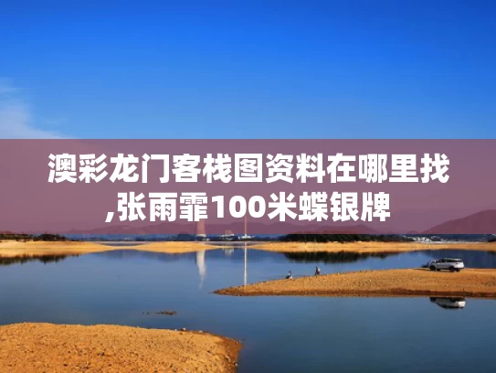 澳彩龙门客栈图资料在哪里找,张雨霏100米蝶银牌