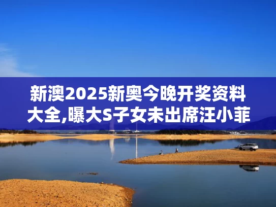 新澳2025新奥今晚开奖资料大全,曝大S子女未出席汪小菲婚礼