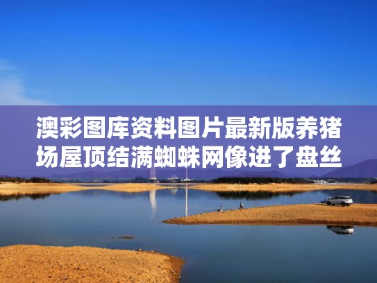 2025年5月18日