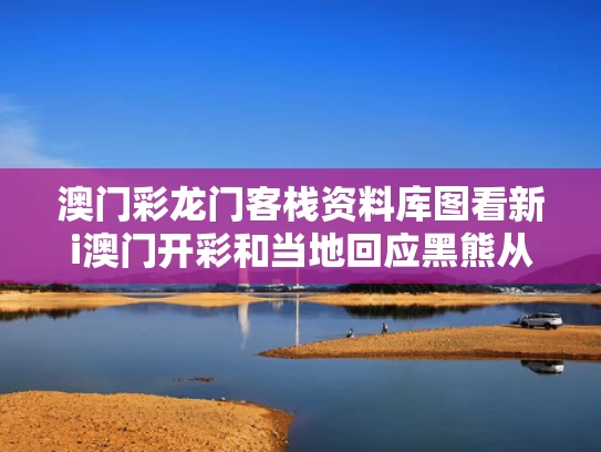 澳门彩龙门客栈资料库图看新i澳门开彩和当地回应黑熊从俄罗斯偷渡到中国与