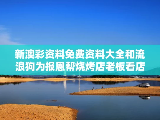 新澳彩资料免费资料大全	和流浪狗为报恩帮烧烤店老板看店与流浪狗的报恩