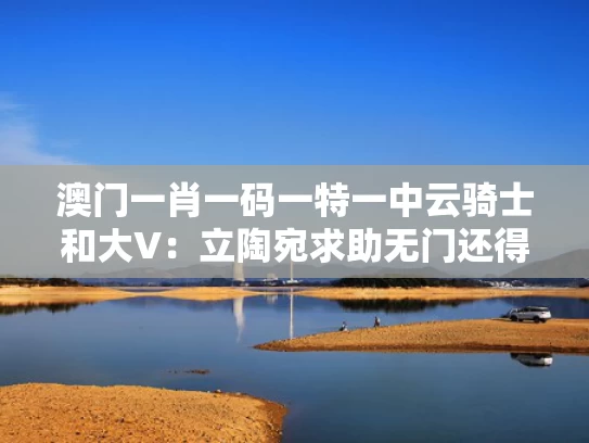 澳门一肖一码一特一中云骑士和大V：立陶宛求助无门还得找俄罗斯与立陶宛担心中方要“出手”