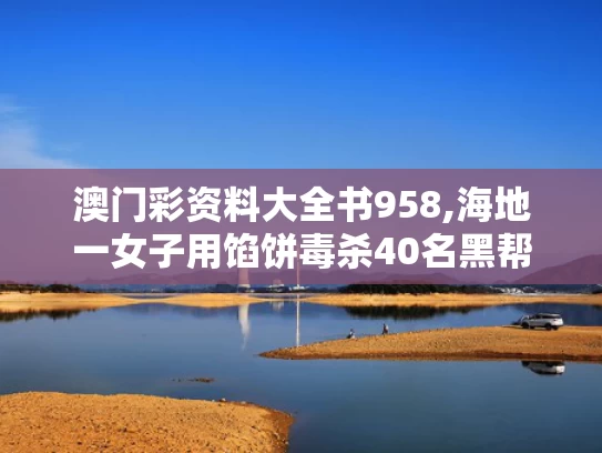 澳门彩资料大全书958,海地一女子用馅饼毒杀40名黑帮分子