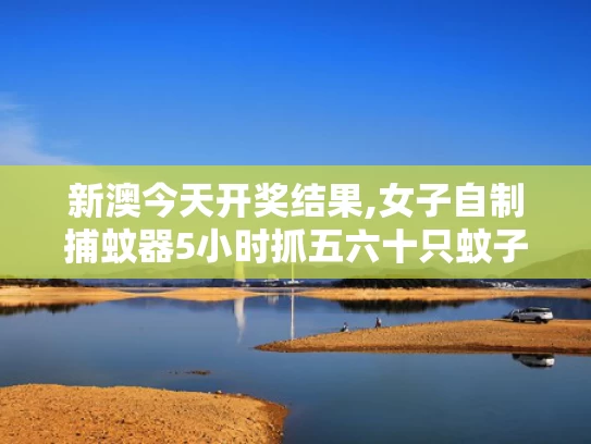 新澳今天开奖结果,女子自制捕蚊器5小时抓五六十只蚊子