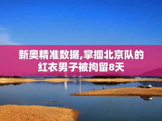 新奥精准数据,掌掴北京队的红衣男子被拘留8天