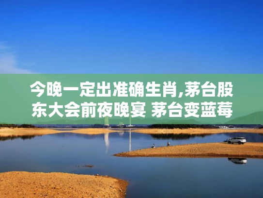 今晚一定出准确生肖,茅台股东大会前夜晚宴 茅台变蓝莓汁
