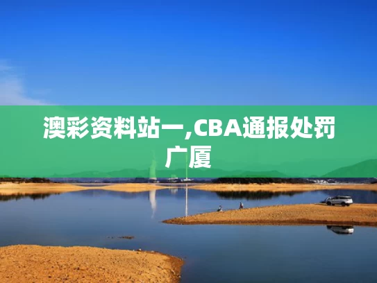 澳彩资料站一,CBA通报处罚广厦