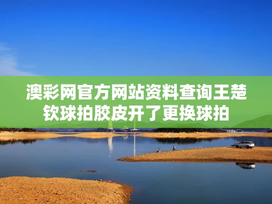 澳彩网官方网站资料查询	王楚钦球拍胶皮开了更换球拍