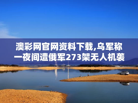 澳彩网官网资料下载,乌军称一夜间遭俄军273架无人机袭击