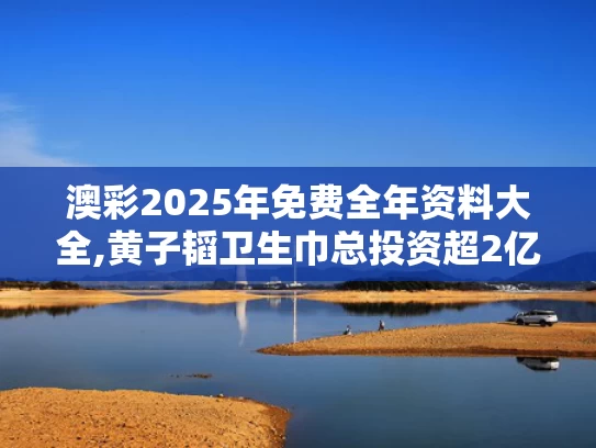 澳彩2025年免费全年资料大全,黄子韬卫生巾总投资超2亿
